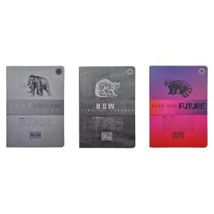 Opakowanie Brulion B5/96K kratka pastNOWfuture (5szt)