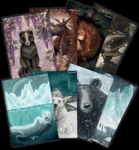 Opakowanie BRULION TOP 2000 FOREST/ICE SZ A5 96K 70G K5M MIX kratka z marginesem