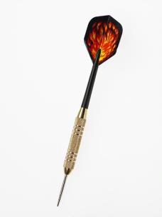 Catdart rzutki STEELTIP Beast 20g (gra profesjonalna). Wydawca: Tactic. Multiszop.pl Opakowanie Catdart rzutki STEELTIP Beast 20g (gra profesjonalna)