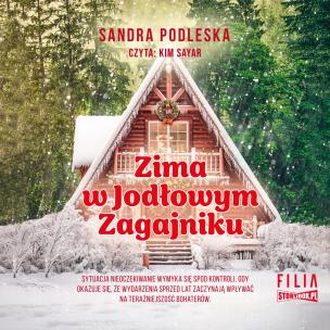 Okładka książki CD MP3 Zima w Jodłowym Zagajniku