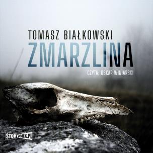 Okładka książki CD Mp3 Zmarzlina