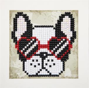 Opakowanie Cool Sunnies Quick Dotz