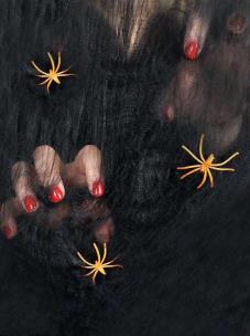 Opakowanie Czarna pajęczyna z pająkiem