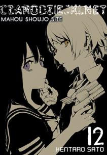 Okładka książki Czarodziejki.net 12