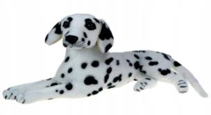 Opakowanie Dalmatyńczyk 47cm