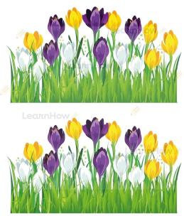 Opakowanie Dekoracja wiosenna - krokusy 2el