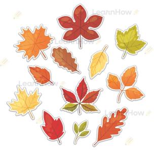 Dekoracje jesienne - duże liście 12el. Wydawca: LearnHow. Multiszop.pl Opakowanie Dekoracje jesienne - duże liście 12el