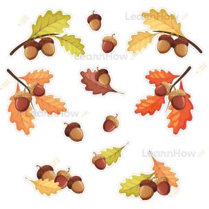 Dekoracje jesienne - Żołędzie 12el. Wydawca: LearnHow. Multiszop.pl Opakowanie Dekoracje jesienne - Żołędzie 12el