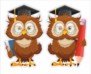 Opakowanie Dekoracje okienne szkoła -Sowy w biretach 2szt