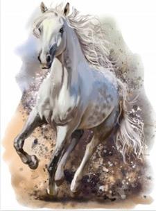 Opakowanie Diamentowa mozaika Biały koń NO-1009428