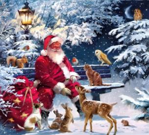 DIAMENTOWA MOZAIKA BN  ZIMA ŚWIĘTY MIKOŁAJ I ZWIERZĘTA. Wydawca: Norimpex. Multiszop.pl Opakowanie DIAMENTOWA MOZAIKA BN  ZIMA ŚWIĘTY MIKOŁAJ I ZWIERZĘTA