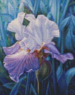 Opakowanie Diamentowa mozaika - Irys wiosenny 40x50cm