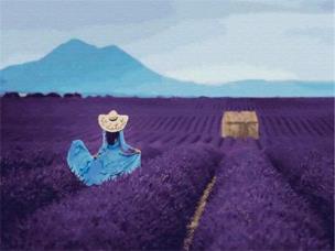 Opakowanie Diamentowa mozaika Kobieta na polu lawendy 60650