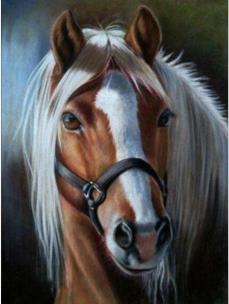 Diamentowa mozaika Koń z jasną grzywą NO-1009222. Wydawca: Norimpex. Multiszop.pl Opakowanie Diamentowa mozaika Koń z jasną grzywą NO-1009222