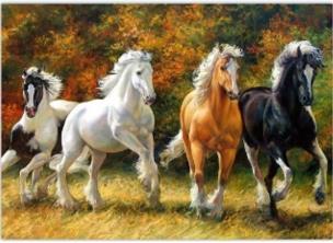 Opakowanie Diamentowa mozaika Konie w galopie na leśnej łące NO-1008671