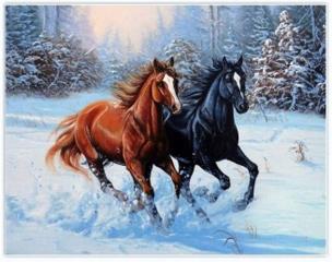 Diamentowa mozaika konie w śniegu NO-1008676. Wydawca: Norimpex. Multiszop.pl Opakowanie Diamentowa mozaika konie w śniegu NO-1008676