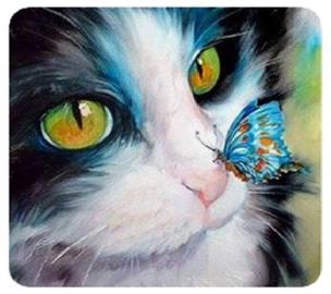 Opakowanie Diamentowa mozaika Kot czarno-biały z motylem NO-1007053