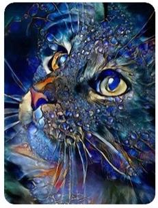 Opakowanie Diamentowa mozaika Kot diamentowy portret NO-1007050