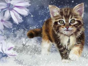 Opakowanie Diamentowa mozaika Kotek 60388