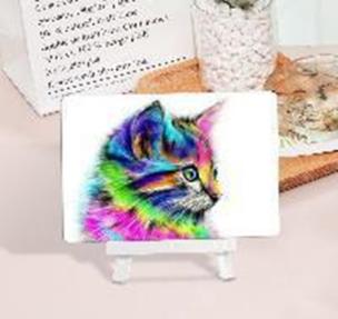 Opakowanie Diamentowa mozaika kotek kolor portret +sztaluga NO-1007232