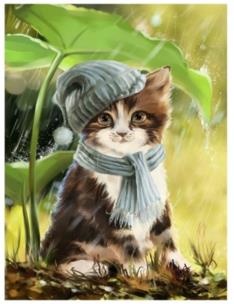 Opakowanie Diamentowa mozaika kotek w czapce NO-1008281