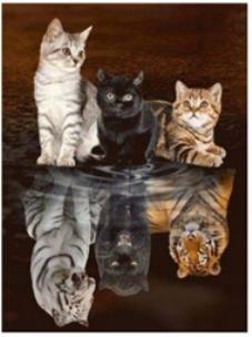 Opakowanie Diamentowa mozaika kotki i ich tygrysie marzenia NO-1007014