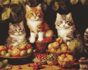 Opakowanie Diamentowa mozaika - Koty i owoce 40x50cm