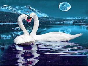 Opakowanie Diamentowa mozaika łabędzie w blasku księżyca 60762