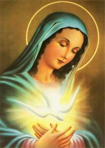 Diamentowa mozaika Matka boska z gołąbkiem NO-1007127. Wydawca: Norimpex. Multiszop.pl Opakowanie Diamentowa mozaika Matka boska z gołąbkiem NO-1007127