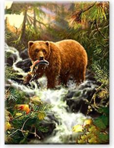 Opakowanie Diamentowa mozaika niedźwiedź nad strumieniem NO-1008649