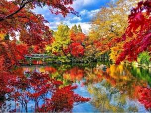 Opakowanie Diamentowa mozaika park jesienny staw NO-1007772