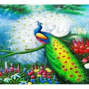 Opakowanie Diamentowa mozaika pawie kolorowe NO-1005258