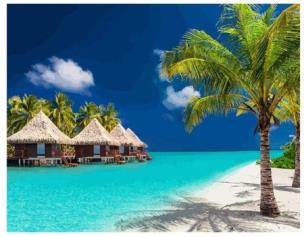 Opakowanie Diamentowa mozaika Plaża z palmami NO-1008037