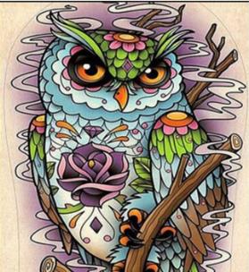 Diamentowa mozaika sowa z rysunkami kwiatów abstrakcja NO-1007752. Wydawca: Norimpex. Multiszop.pl Opakowanie Diamentowa mozaika sowa z rysunkami kwiatów abstrakcja NO-1007752