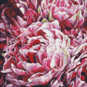 Opakowanie Diamentowa Mozaika - Szaleństwo kolorów 40x40cm