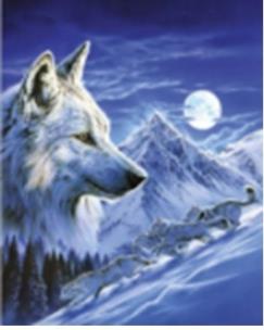 Opakowanie Diamentowa mozaika Wilk zimową nocą NO-1007000