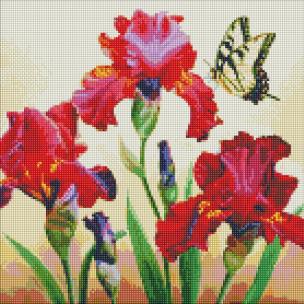 Opakowanie Diamentowa mozaika - Wytworne irysy 40x40cm