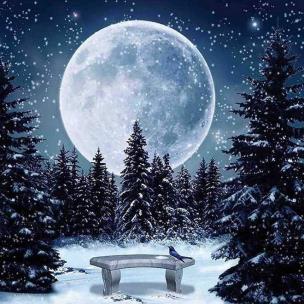 Diamentowa mozaika zimowy księżyc NO-1009202. Wydawca: Norimpex. Multiszop.pl Opakowanie Diamentowa mozaika zimowy księżyc NO-1009202