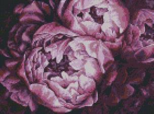 Opakowanie Diamentowy mozaika - Królewskie piwonie 30x40cm