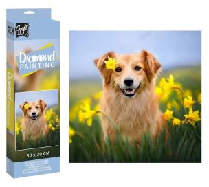 Opakowanie Diametowy obraz - Piesek 30x30cm