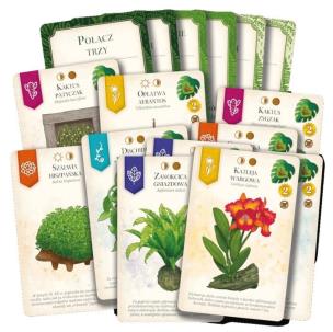 Opakowanie Doniczki - karty promocyjne