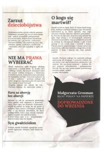 Okładka książki Doprowadzone do wrzenia Blog pisany na papierze