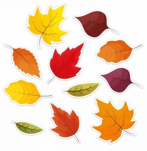 Drekoracja jesienna - Liście 12el. Wydawca: LearnHow. Multiszop.pl Opakowanie Drekoracja jesienna - Liście 12el