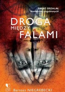 Okładka książki Droga między falami