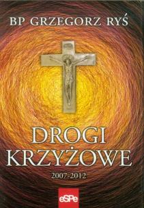 Okładka książki Drogi krzyżowe 2007-2012