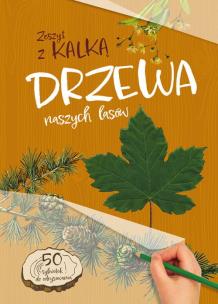 Okładka książki Drzewa naszych lasów. Zeszyt z kalką