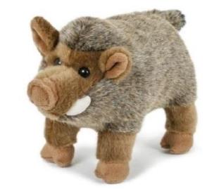 Opakowanie Dzik 24cm