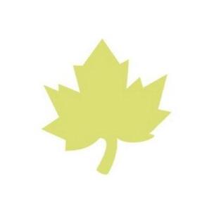 Dziurkacz ozdobny 5cm klon. Wydawca: Dalprint. Multiszop.pl Opakowanie Dziurkacz ozdobny 5cm klon