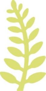 Dziurkacz ozdobny 5cm paproć. Wydawca: Dalprint. Multiszop.pl Opakowanie Dziurkacz ozdobny 5cm paproć