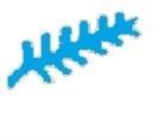 Opakowanie Dziurkacz ozdobny - Gałązka 2,5cm